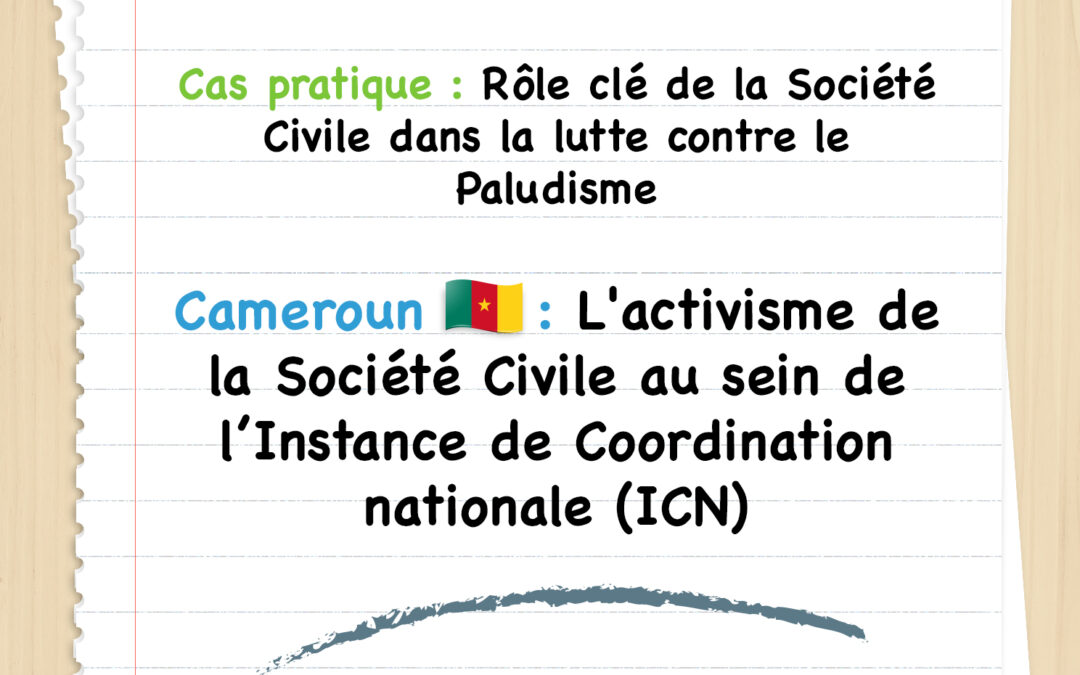 ICN Cameroun : L&rsquo;activisme de la Société Civile au sein de l’Instance de Coordination nationale (ICN)